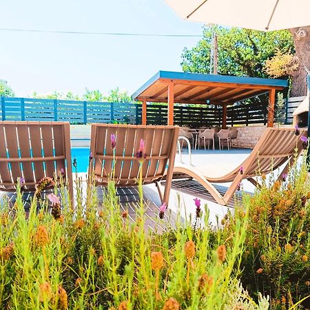 Villa Twins Sukosan With Heated Pool Exteriér fotografie
